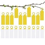 Fruchtfliegenfalle – 24 x 7 cm großer, klebriger Mückenfänger, schnelle Installation |...