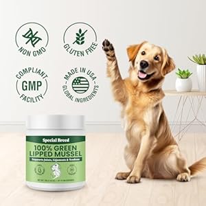 Green-Lipped-Mussels-for-Dogs-Cats-Premium-Joint-Supplement-Powder-for-HIPS-Joints-and-Muscles-75-Grams-Up-to-250-Servings - Cucciolini Doodles   Green-Lipped-Mussels-for-Dogs-Cats-Premium-Joint-Supplement-Powder-for-HIPS-Joints-and-Muscles-75-Grams-Up-to-250-Servings