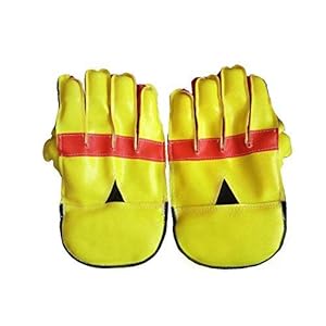 Galvin Sports Cricket Wicket Keeping Gloves, Men’s