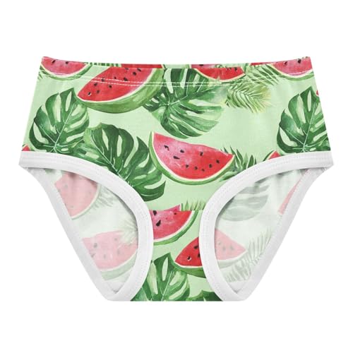 Wusikd Tropical Leaves Girls' Underwear Cotton Watermelon Girls Briefs Soft Toddler Underwear 2T