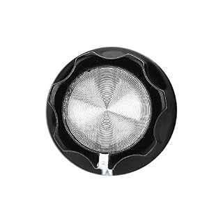 Drfeify Boutons de tonalité de Volume, 10Pcs / Set Potentiomètre Capuchons de Boutons de tonalité de Volume pour Guitare… - Les Beatles, Paul McCartney, John Lennon, RIngo Starr, George Harrison Drfeify Boutons de tonalité de Volume, 10Pcs / Set Potentiomètre Capuchons de Boutons de tonalité de Volume pour Guitare… – Image 6