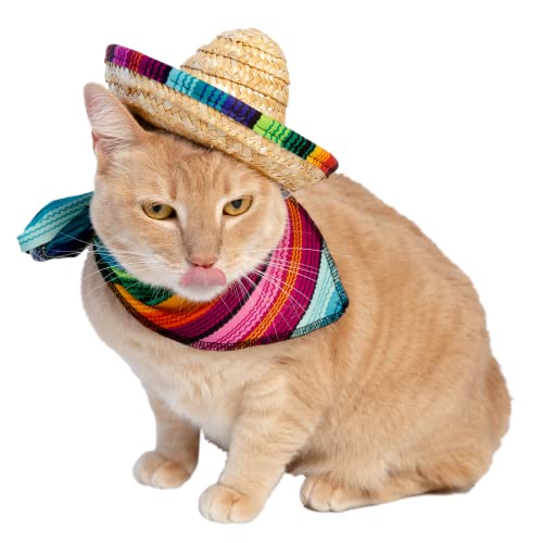 Disfraz Mexicano para Perro y Gato 2 Piezas Sombrero y Collar miniatura 2