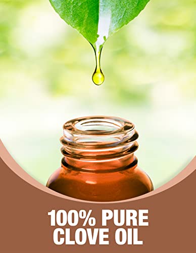 Ethereal Nature 100% Pure Oil, Clove, 1 Fl Oz #TOP3