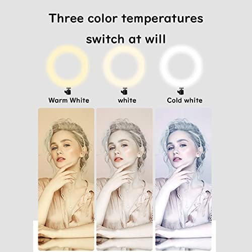 Boobaaa 10.2" LED Ring Light with Stand & Cell Phone Holder , Desktop Selfie Mini Ring Light for Live Stream/Makeup/YouTube Video/Photography, 3 Light Modes & 10 Brightness Level