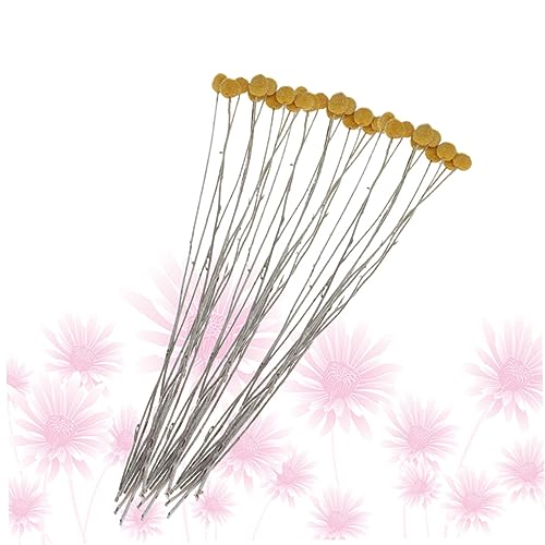 Ramo de flores secas Craspedia 20 piezas para decoración miniatura 6
