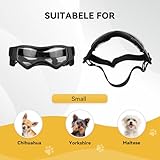 NAMSAN Hundebrille für Kleine Hunde UV-Schutz Hunde Sonnenbrille mit Einstellbar Gummiband Winddichte Hunde Motorradbrille-Schwarz