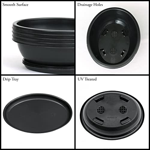 Livzing 15inch Pack of 5 Bonsai Flower Pot with Tray - Virgin Planter Pots with Drain Holes – Indoor Outdoor Balcony Gardening Pots - Oval Shaped Grow Pots for Plants - Black