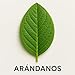 Imagen de Arándanos, Té de arándanos, Infusión frutal
