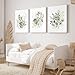 Watercolor Botanical Wall Art Set of 3 Boho Floral Canvas Wall Decor Prints Sage Green Wildflower Wall Art Modern Flower Pictures Botanical Painting for Bedroom Bathroom 24x36 Inch Wrapped Canvas