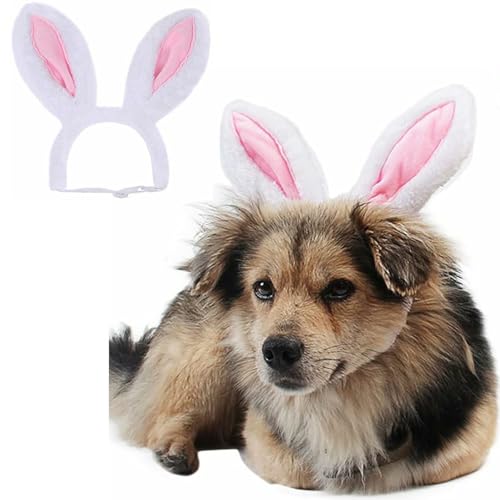 Diadema para perro con orejas de conejo grandes