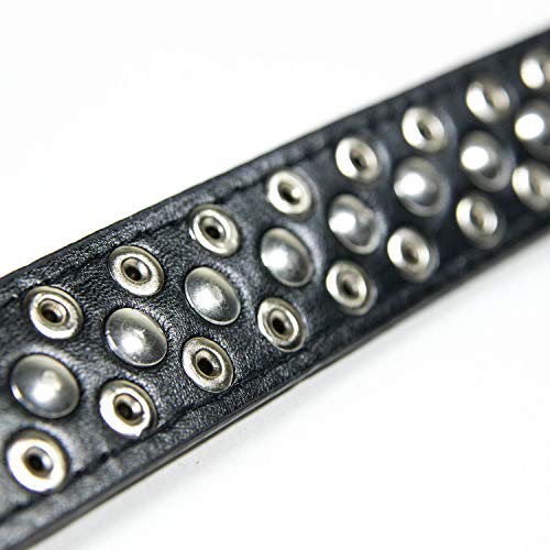 Corelife Spiked Dog Collar / Cat Collar, Studded Vegan Leather Pet Collar For Dogs And Cats S Black #TOP3