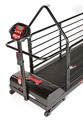 Dogrunner Revolution Pro