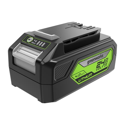 Greenworks Batteria 24V 4Ah - Potente Batteria per Tutti gli Attrezzi da Giardino 24V, Batteria...