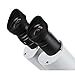 AmScope SE306R-PZ Forward Binocular Stereo Microscope, WF10x and WF20x Eyepieces, 10X-80X Magnification, 2X and 4X Objectives, Upper and Lower Halogen Light Source, Pillar Stand, 120V , White