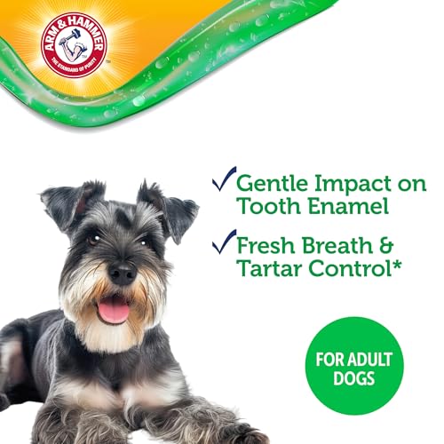 Image of Arm & Hammer Complete Care Dental Gel Dog Toothbrush Kit, Includes Gel Toothpaste, Toothbrush, and Finger Brush, Baking Soda Enhanced, Fluoride Free, Chicken Flavor, 2.5 Oz