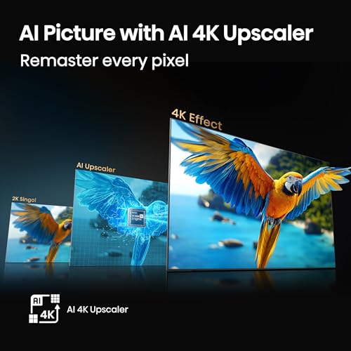 Hisense 98" Class QD5 Series (98QD5QG, 2025 Model) Best Value QLED 4K UHD Smart Google TV, Native144Hz, Motion Rate 480, Dolby Vision Atmos, HDR 10+, AMD FreeSync Premium, MEMC, VRR, ALLM