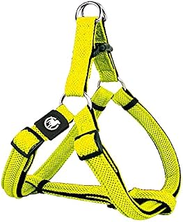 DDOXX Air Mesh Step-In Dog Harness - Adjustable Chest Harness Dogs - L (Orange)