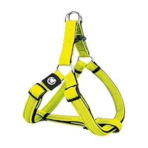 DDOXX Harnais Chien Step-in Air Mesh, Rembour...
