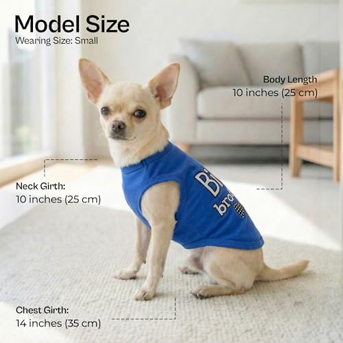 Parisian Pet Dog T-Shirt with Embroidered ' Big Brother ' Words - 100% Cotton, Big Brother Dog Shirt - Sleeveless Pet Vest - Machine Washable Blue Dog Shirts for Small Dogs XS — view 2