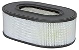 Air Filter, 6-17/32 to 9-3/4 x 3-5/8 in.