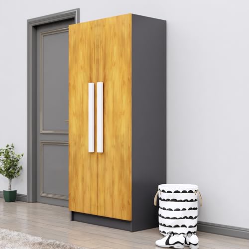 Image of Bniture Wooden Almirah for Clothes, Wardrobe for Bedroom, 2 Door Wardrobe with 4 Shelves Huge Storage Space (46D x 80W x 182H CM) | 3 Year Warranty (Slate Grey & Giant Wood)
