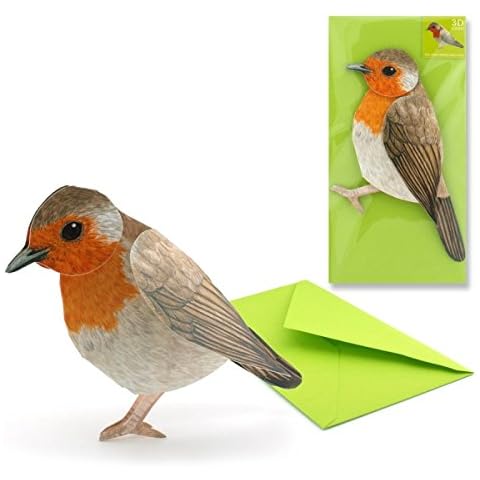 POP-UP CARD BIRDS: ROBIN - Cute 3-D Greeting Card Cover