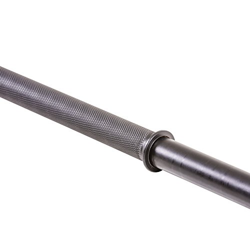 US Weight Duracast 55 lb. Barbell Weight Set with Two 5 lb. Weights