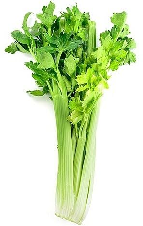 Willvine Organic Green Celery Vegetable-KMT-11A-image-5