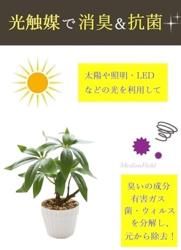 MedianField 光触媒 観葉植物 パキラ 鉢植え 消臭 抗菌 フェイクグリーン 造花 鉢 人工観葉植物 おしゃれ インテリア 雑貨 人工 フェイク グリーン 卓上 緑 植物 鉢植え 葉 小さい ギフト 幸福の木 (パキラ ミニ) [4]