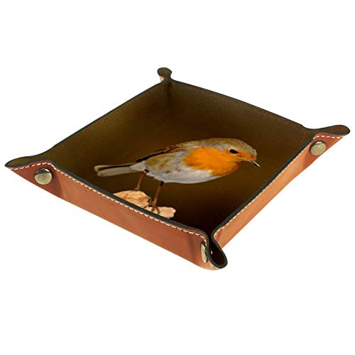 ART VVIES Home Decorative 20.5x20.5 cm Fabric Bins Shelf Baskets Print Adorable Storage Box Collapsible Robin Bird Garden Songbird Nature Garden Bird