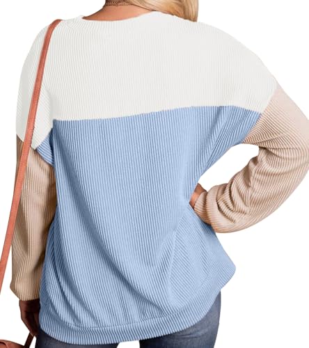 Image of ETOSELL Womens Fashion 2024 Fall Long Sleeve Color Block Crewneck Knitted Ribbed Tops Casual Comfy Loose Blouse Pullover