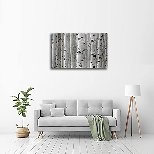 Legendarte - Obraz na płótnie - Birch Trunks - Dekoracje ścienne cm. 60x90