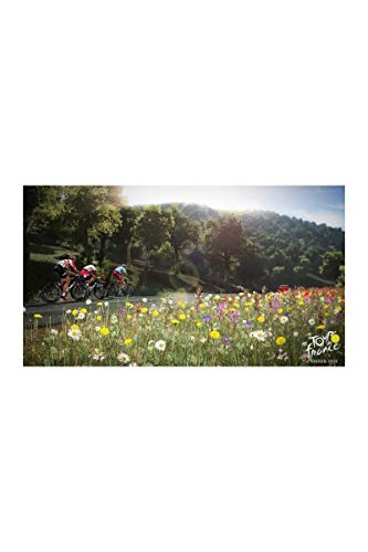 Tour de France 2019 Jeu PS4 - vue 5