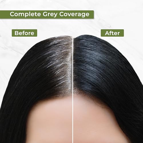 INDUS VALLEY Damage Free Natural Gel Hair Colour for Women | Ammonia & PPD Free Organic Hair Colour with 100% Grey Coverage, Long Lasting Conditioning Hair Color (Dark Brown 3.00, Pack of 4)