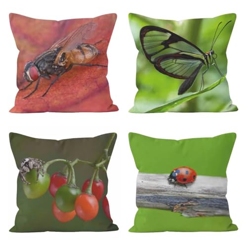 Housses de coussin 50x50cm CEVAN en lin pour protéger un canapé usé