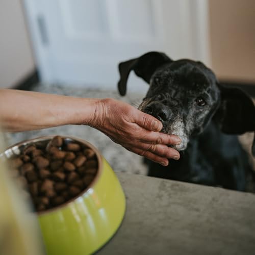 Hundefutter Boons Iberisches Schweinefleisch (für Hunde Aller Größen geeignet) Größe 100 g