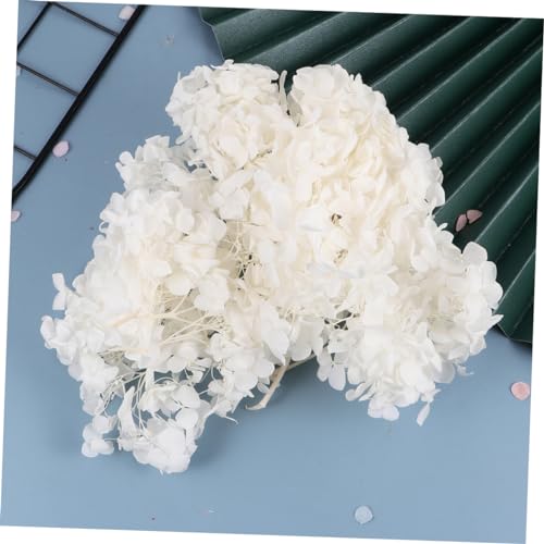 DECHOUS pétalos secos naturales de hortensia 20g miniatura 6