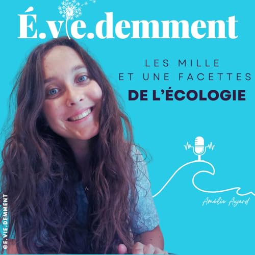 &Eacute;.vie.demment - Les mille et une facettes de l'&eacute;cologie - Ecolo imparfaite - Eco anxi&eacute;t&eacute; - Coach 