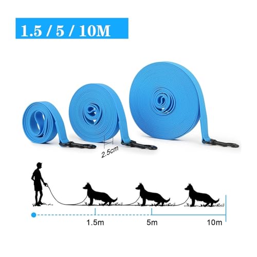 Laisse pour chien durable en PVC vert sangle large de 2.5cm - 4