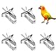 Vögel Futterhalter 5 Stück Papageien Obst Gemüse Feeder Clip, Metall Papagei Gemüsehalter Feeder Clips Vogelkäfig Zubehör für Papageien Wellensittich