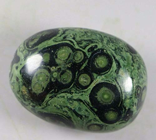 Preisvergleich Produktbild ACEACE 107g Eye Green Kambaba Jasper Stromatolith FOSSIL Edelstein