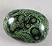 Produktbild ACEACE 107g Eye Green Kambaba Jasper Stromatolith FOSSIL Edelstein