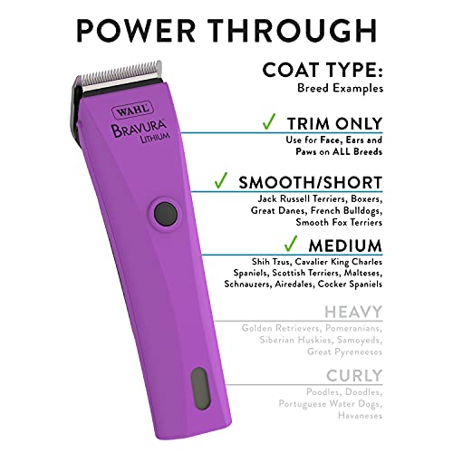 Wahl Professional Animal Bravura Pet, Dog, Cat, And Horse Corded/Cordless Clipper Kit, Berry (#41870-0419) #TOP5