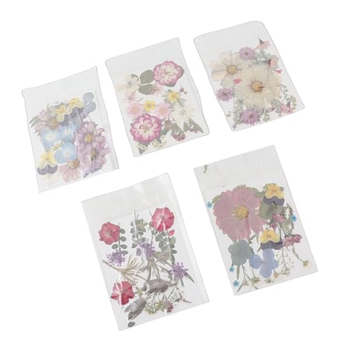 Flores prensadas secas para manualidades X5 bolsas miniatura 7