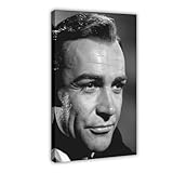 Si vous avez besoin d'une affiche personnalisée, veuillez nous contacter.