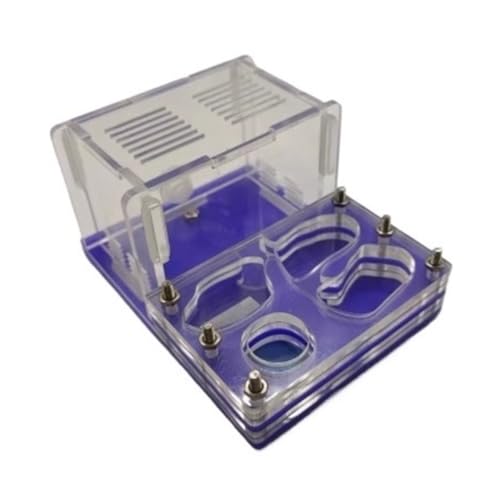 EYRMQWJPC Acryl-Ameisenburg Terrarium mit blauem Boden