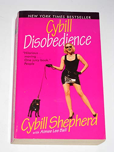 Cybill Disobedience view 2