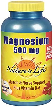 Natures Life Magnesium 500mg | High Potency Magnesium Supplement Plus Vitamin B-6 for Muscle & Nerve Support | Non-GMO | 275 Vegetarian Capsules