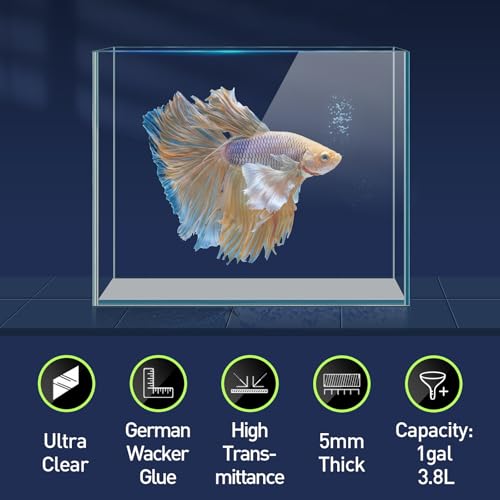 Image of LAQUAL 1 Gallon Fish Tank Starter Kit with Fish Net, 1 Water Changer Siphons & 2 Cleaning Cloth, Crystal Clear Glass Fish Tank, Small Fish Tank /Aquarium for Betta & Goldfish, Nice Home Decor