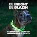 Blazin Light Up Dog Collar - The Original LED Dog Collar - USB Rechargeable - Waterproof - 1,000 Feet of Visibility - Dog Collar Light for Small, Medium, Large Dogs - USA Brand